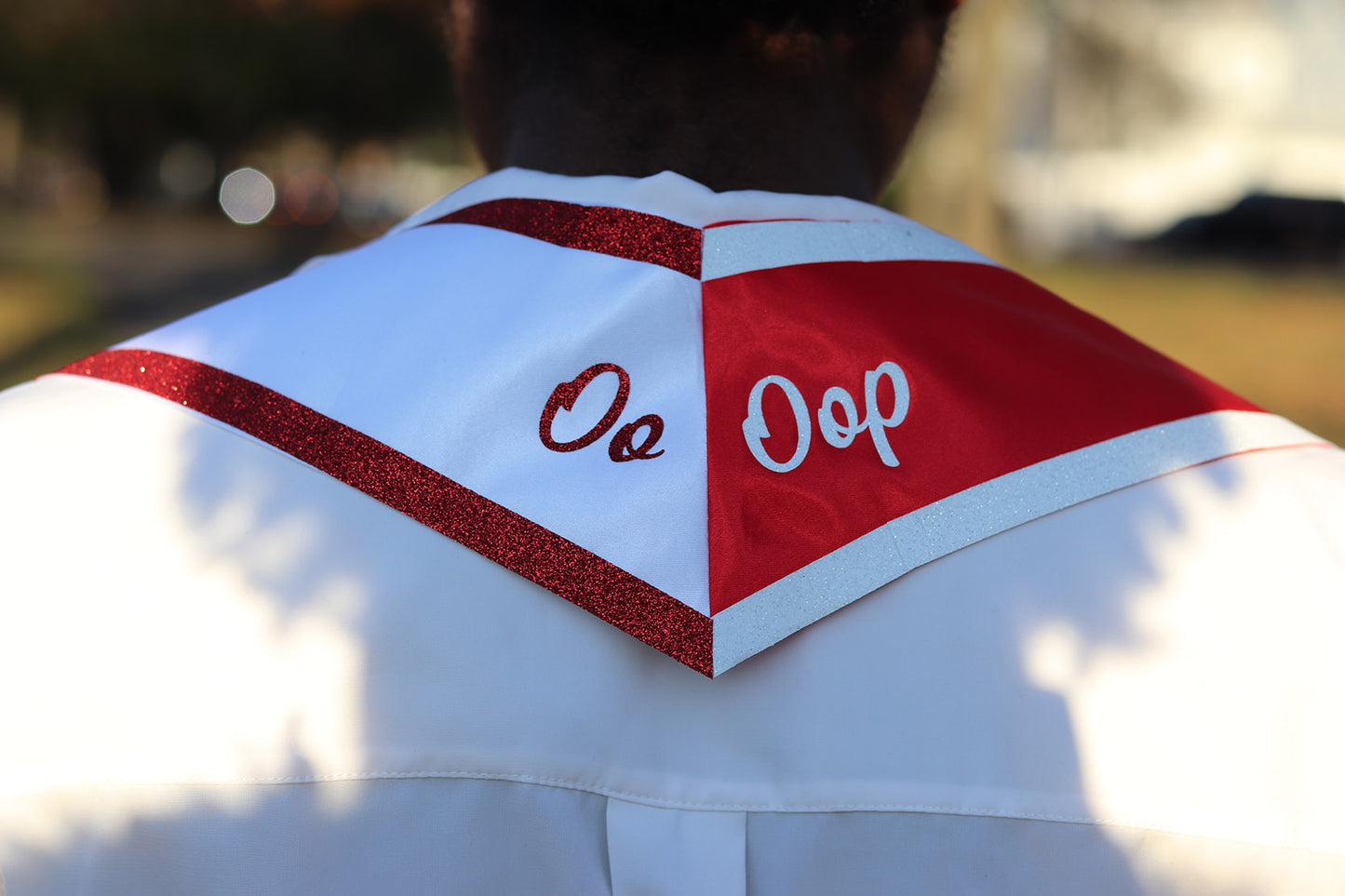 Dual Tone Delta Sigma Theta Graduation Stole